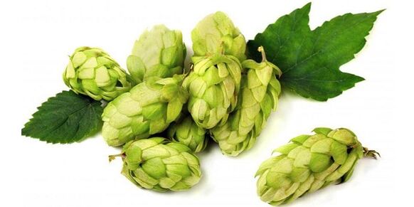 You can use hop cones to prepare an ointment for osteochondrosis of the neck. 